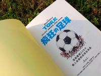 爱游戏体育平台-堪称历史性一刻的进球点亮球场