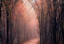 尼克斯客场奏凯！兰德尔关键时刻化身“定海神针”，一骑绝尘