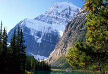 巴塞罗那，泪洒绿茵场：欧冠梦想碎裂，荣耀之巅何处寻？