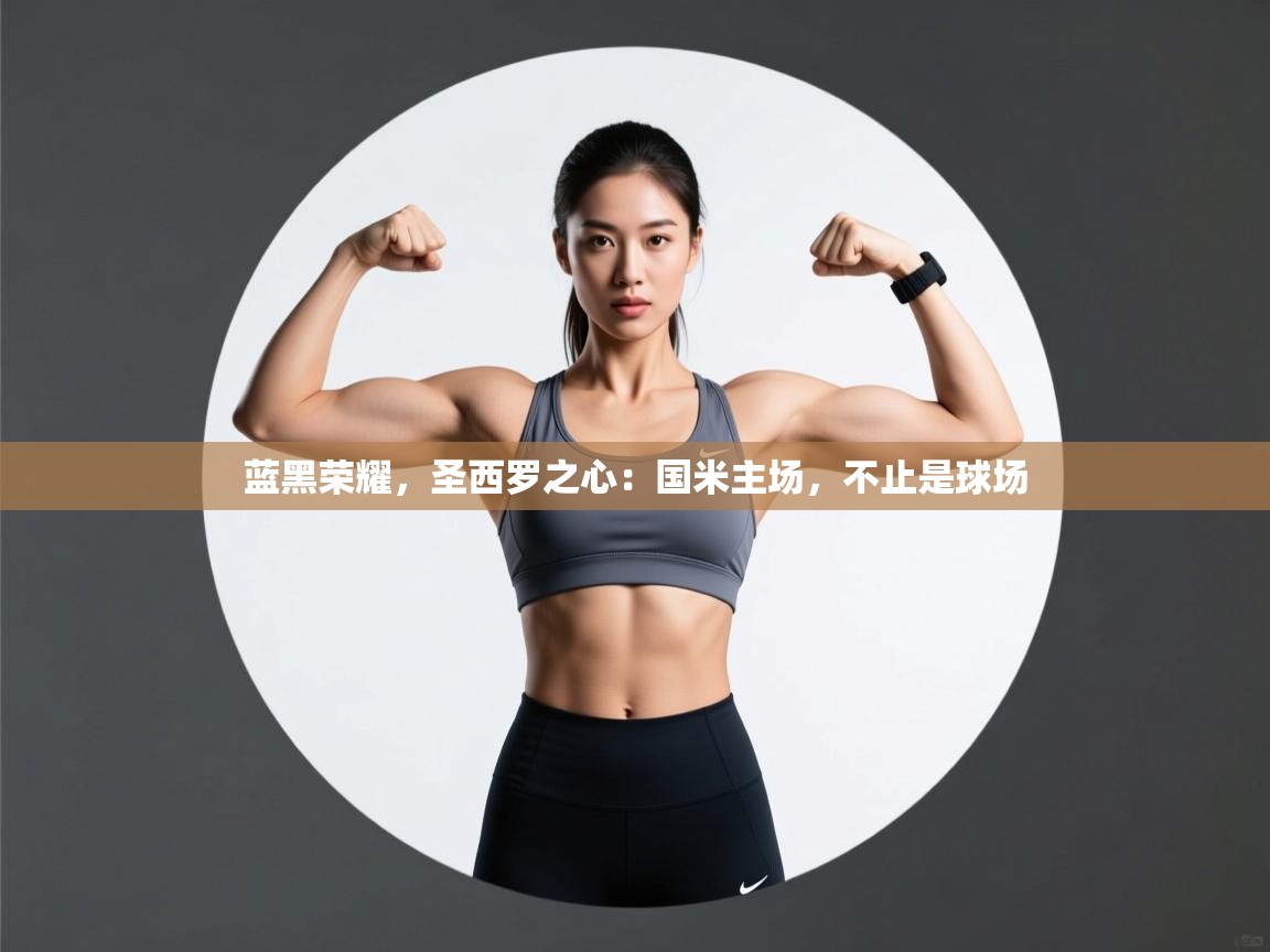 蓝黑荣耀,圣西罗之心:国米主场,不止是球场 第2张