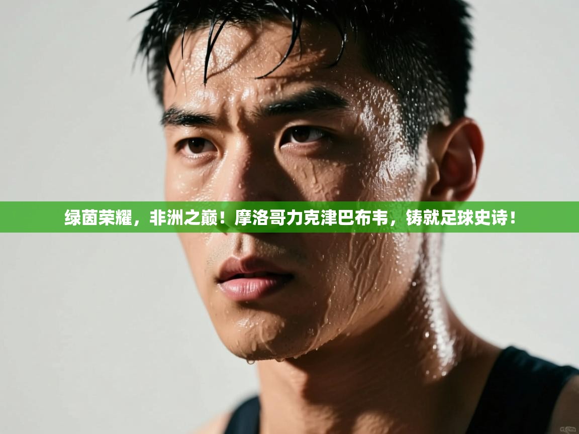 绿茵荣耀,非洲之巅!摩洛哥力克津巴布韦,铸就足球史诗! 第2张