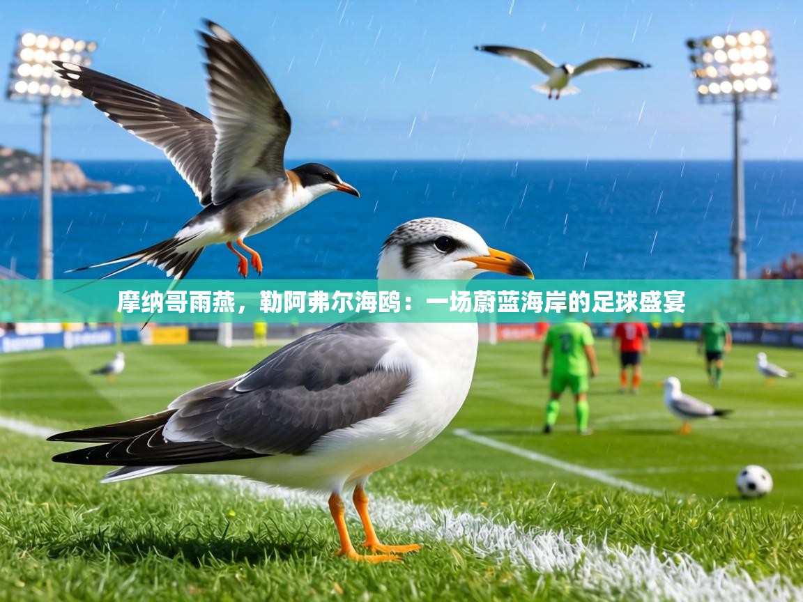 摩纳哥雨燕,勒阿弗尔海鸥:一场蔚蓝海岸的足球盛宴 第1张