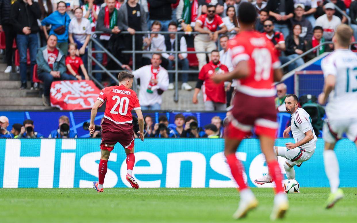 关于匈牙利国家队球员体能训练有成效，备战状态良好的信息