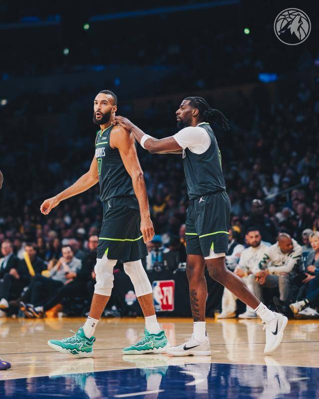 灰熊力克森林狼，戈贝尔独揽20个篮板