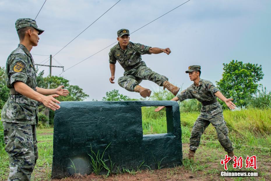 战术打法大胆变化,球队战术多样性显著提升的简单介绍 战术打法大胆变化,球队战术多样性显著提升的简单介绍