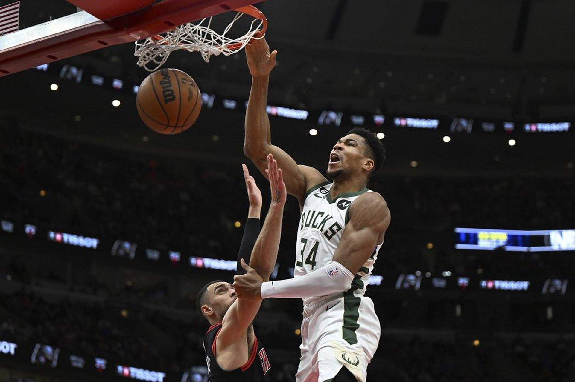 关于雄鹿大腿状态正常,助队稳定战绩的信息 关于雄鹿大腿状态正常,助队稳定战绩的信息