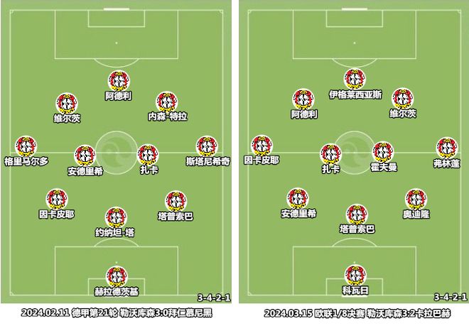 关于勒沃库森的胜利：工业城市球队的成功之路的信息