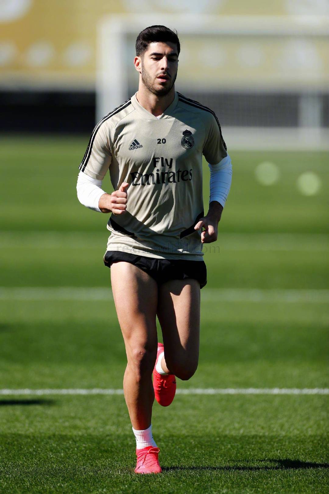 皇家马德里球员康复训练,力争重回巅峰的简单介绍 皇家马德里球员康复训练,力争重回巅峰的简单介绍